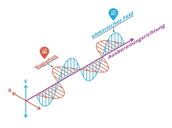 Wirkung von elektromagnetischer Strahlung auf Materie - VITATEC